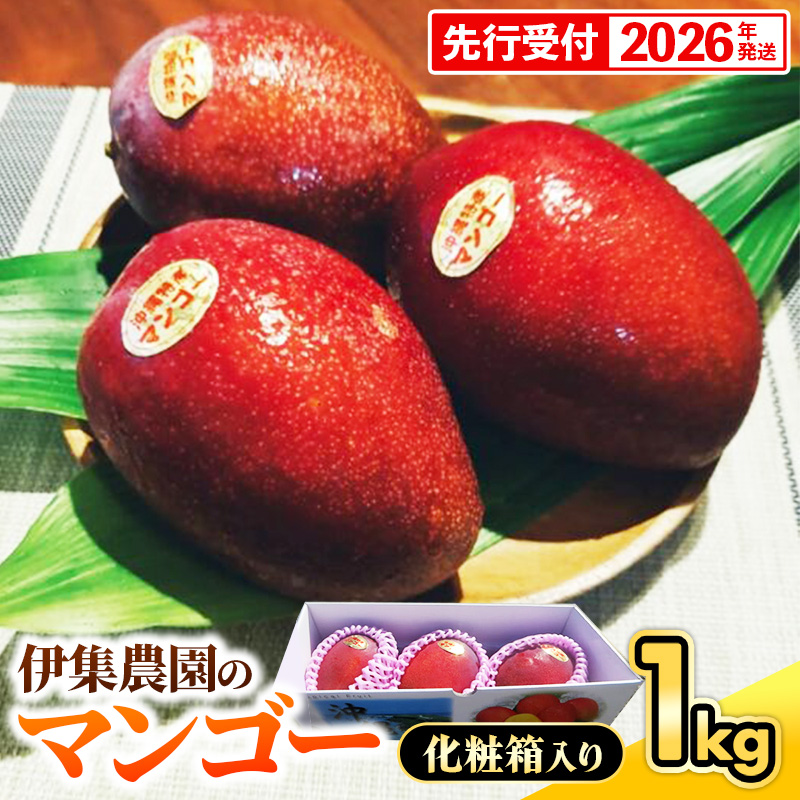 【化粧箱入】【先行受付・2026年発送】伊集農園 沖縄県産マンゴー(贈答用)約1kg - 先行予約 沖縄 産地直送 南国フルーツ 旬の味覚 旬のフルーツ 沖縄県 八重瀬町
