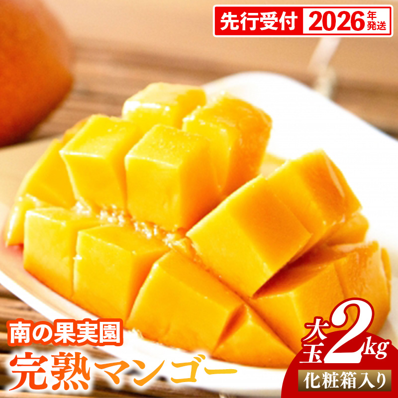 【化粧箱入】【先行受付・2026年発送】南の果実園 完熟マンゴー 大玉 2kg(4玉)〈贈答用化粧箱入り〉- 先行予約 沖縄県産 産地直送 アップルマンゴー 旬の味覚 季節の果物 贈り物 ギフト 沖縄県 八重瀬町