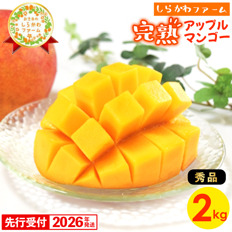 【先行受付】【2026年発送】しらかわファームのアップルマンゴー 秀 約2kg - 先行予約 沖縄 産地直送 南国フルーツ 旬の味覚 旬のフルーツ 贈り物 ギフト 沖縄県 八重瀬町