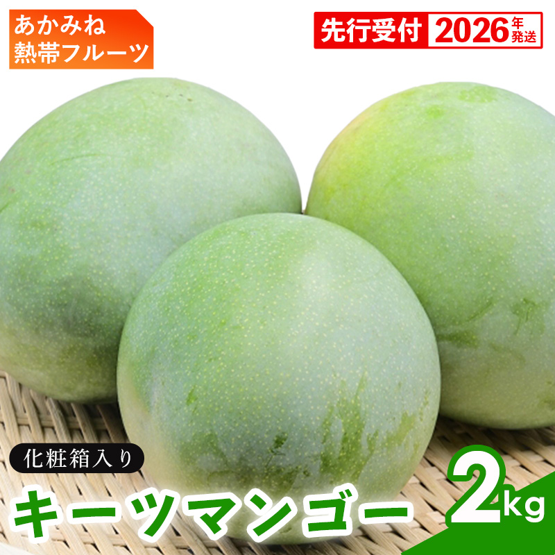 【化粧箱入】【先行受付・2026年発送】あかみね熱帯フルーツのキーツマンゴー約2kg - 先行予約 沖縄県産 産地直送 南国フルーツ 旬の味覚 季節の果物 希少種 化粧箱 ギフト 沖縄県 八重瀬町