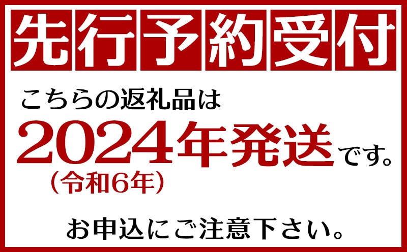 2024年発送】訳あり品！沖縄県北中城村 完熟マンゴー約1kg【先行予約】沖縄 果物 訳あり フルーツ くだもの 数量限定 アップルマンゴー アーウィン マンゴー 芳醇 トロピカルフルーツ | 沖縄県北中城村 | JRE MALLふるさと納税