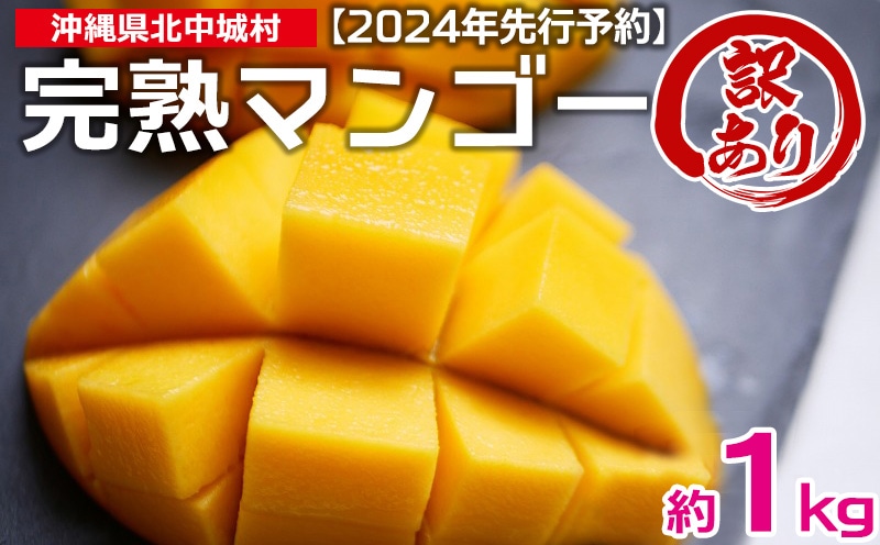 2024年発送】訳あり品！沖縄県北中城村 完熟マンゴー約1kg【先行予約】沖縄 果物 訳あり フルーツ くだもの 数量限定 アップルマンゴー アーウィン マンゴー 芳醇 トロピカルフルーツ | 沖縄県北中城村 | JRE MALLふるさと納税