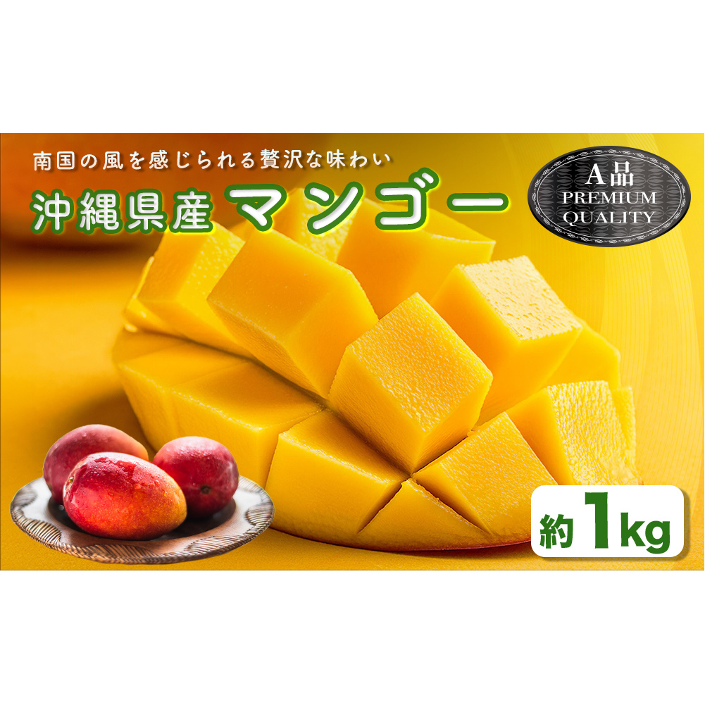 ハナトフルーツ 沖縄県産マンゴーA品 1kg【 先行予約 2026年発送 】