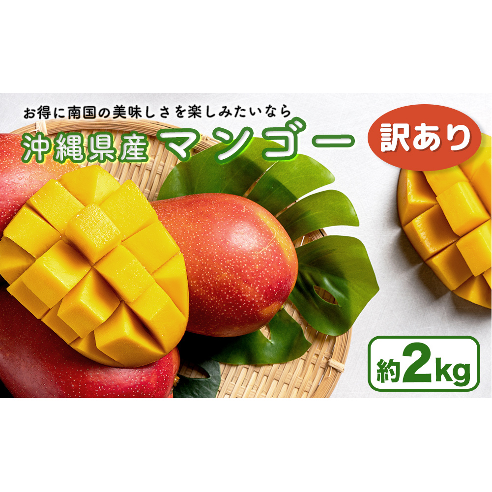 ハナトフルーツ 沖縄県産 訳ありマンゴー2kg 【 先行予約 2026年発送 】