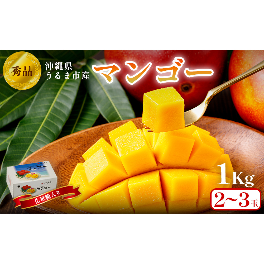 完熟マンゴー　L.M 宮崎完熟マンゴー L.Mセット9個入り 2.8kg