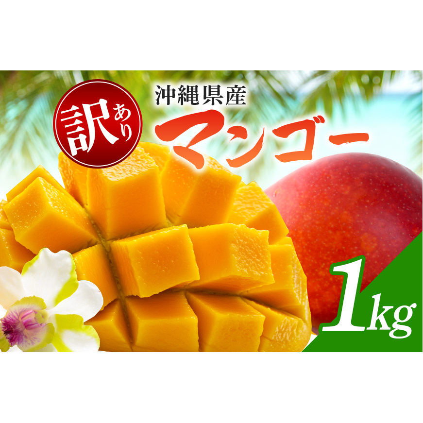 【 先行予約 2026年発送 】訳ありマンゴー 1kg