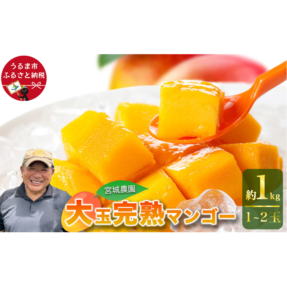 宮城農園の完熟マンゴー 約1kg(1~2玉)【 先行予約 2026年発送 】