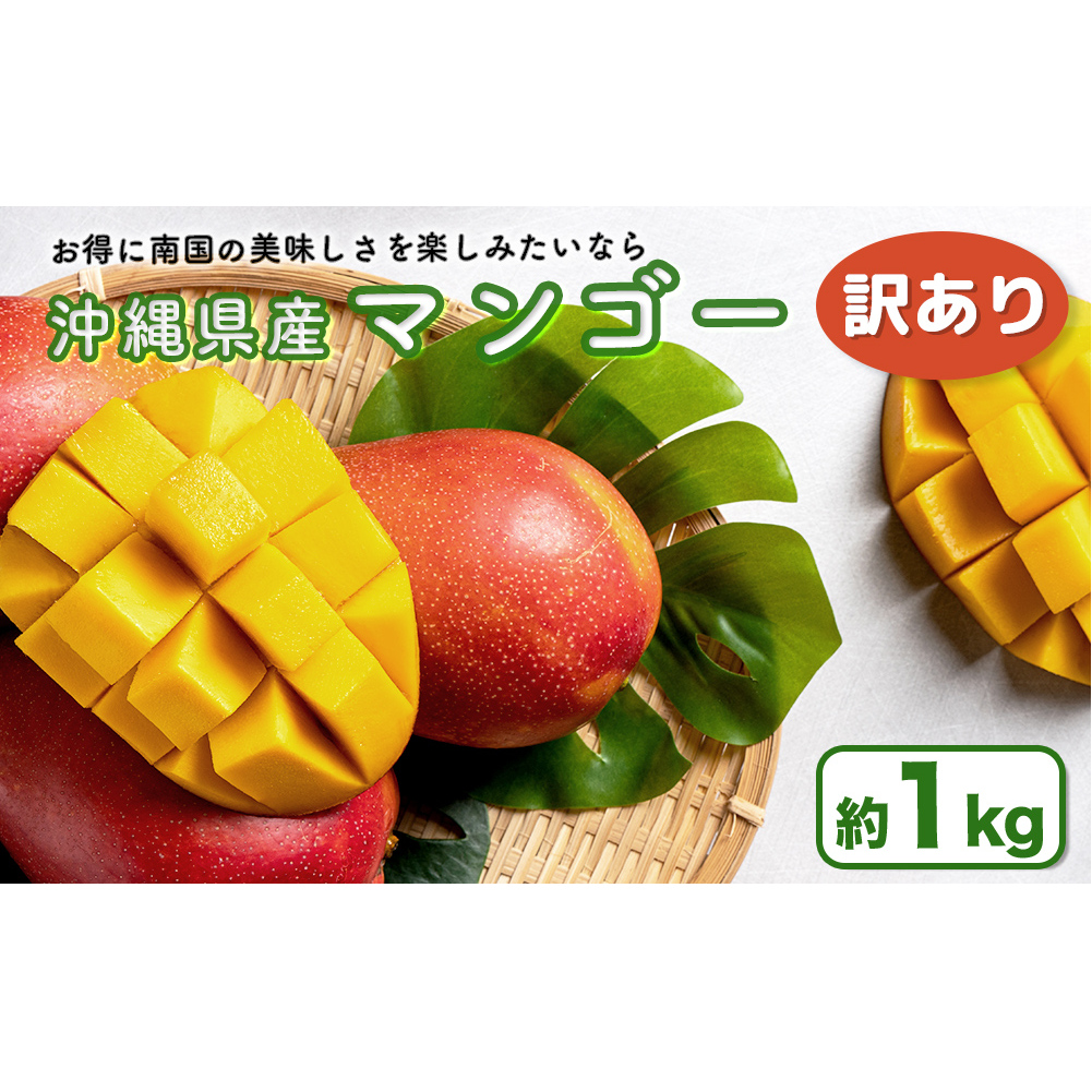 ハナトフルーツ 沖縄県産 訳ありマンゴー1kg 【 先行予約 2026年発送 】
