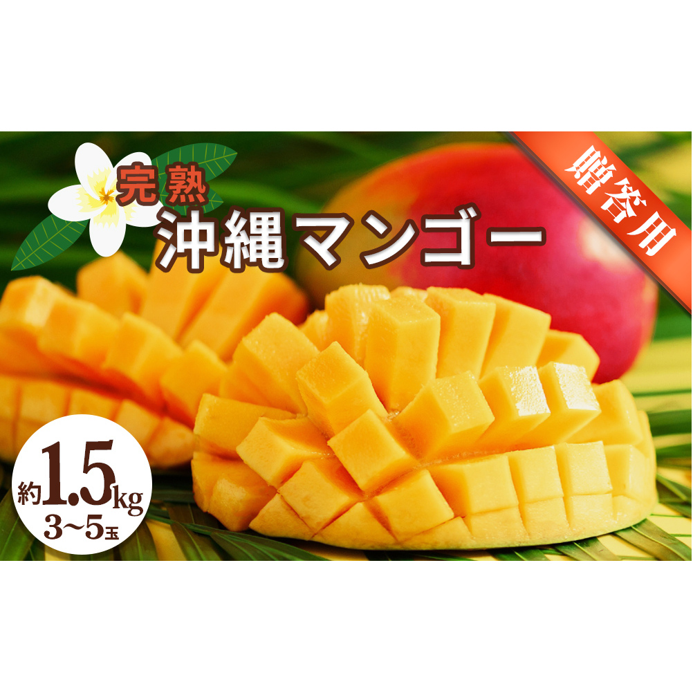 沖縄県産 贈答用マンゴー 1.5kg【 先行予約 2026年発送 】