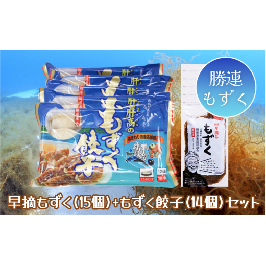 早摘みもずく(15袋)&もずく餃子(12個入×14袋)セット【勝連漁業協同組合】