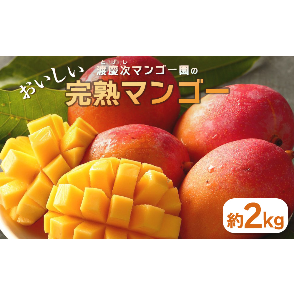 渡慶次マンゴー園の完熟マンゴー約2Kg【 先行予約 2026年発送 】