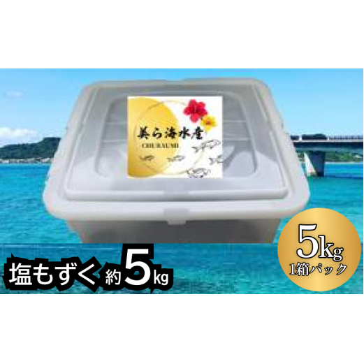 【美ら海水産】塩もずく(約5kg)