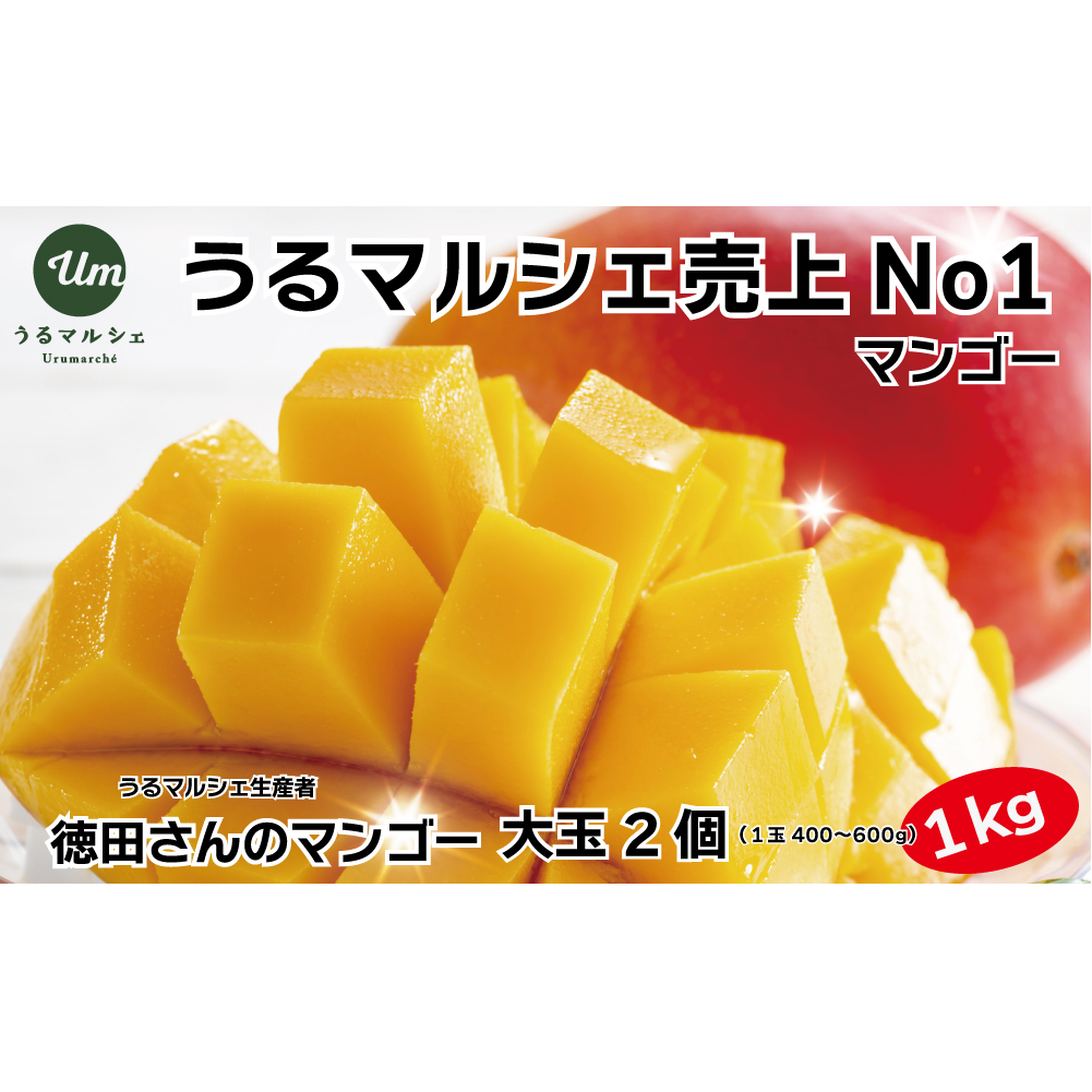 【ふるさと納税】【希少な大玉５００g】徳田さんの極上贈答用マンゴー　大玉2個　約１kg【 先行予約 2026年発送 】アップルマンゴー　マンゴー　極上　贈答用　沖縄県産 