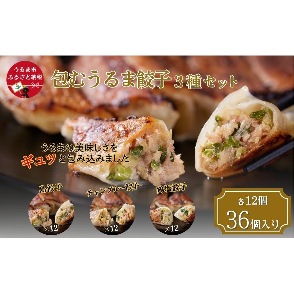 包むうるま餃子 3種セット（島餃子・鶏塩餃子・チャンプルー餃子）