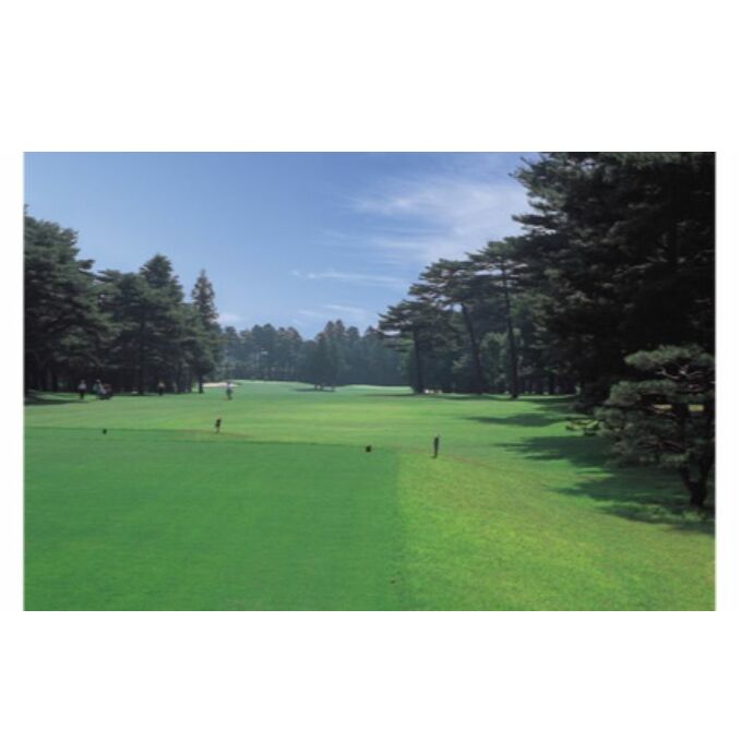 飯能ゴルフクラブ 平日1日ラウンド利用券 1名様分(昼食付)[52210303] ゴルフ場利用権 