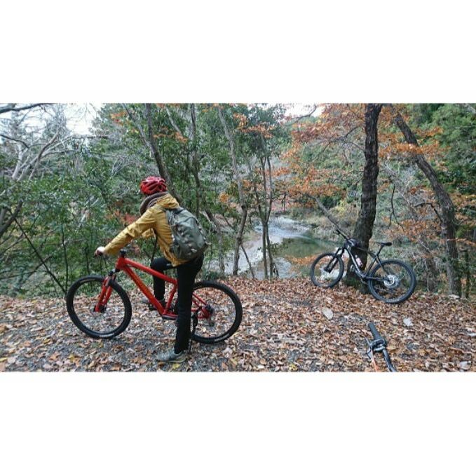 レンタルサイクル 飯能市街地飲食店乗り捨てプラン 3名様1日利用券(ランチ券付)[52210222] 体験チケット お食事券 チケット 