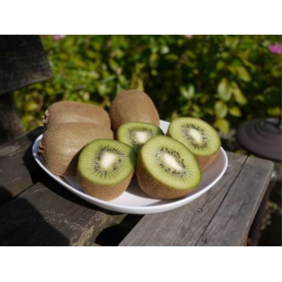 マキノキ園のキウイフルーツ【ヘイワード】4kg箱[52210462] 