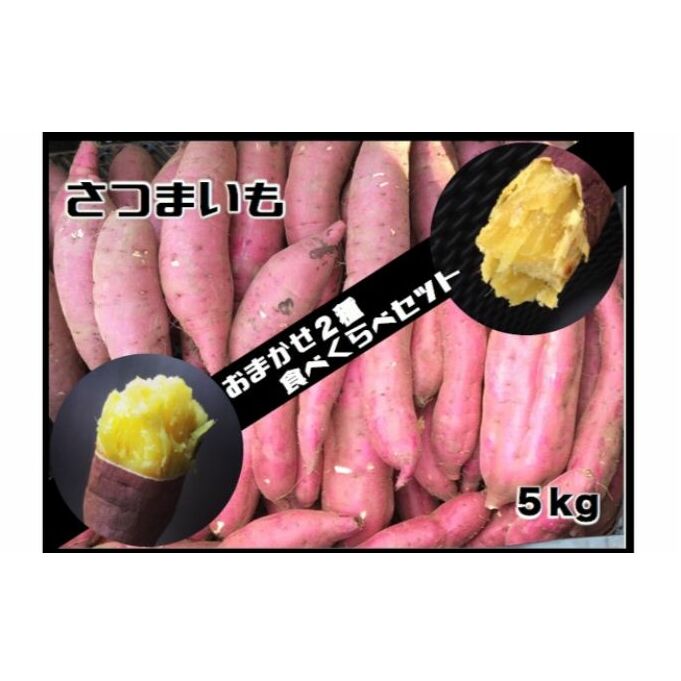 ≪飯能産≫さつまいも おまかせ2種食べ比べセット[52210208] 野菜 サツマイモ 