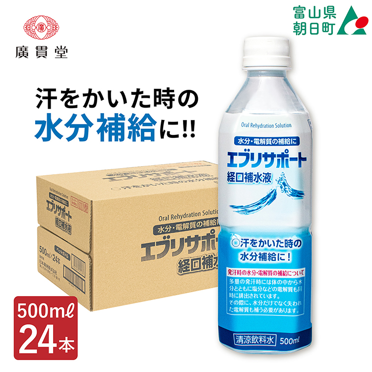 飲料 エブリサポート 経口補水液 500ml 24本 1ケース [広貫堂 富山県 朝日町 34310395]