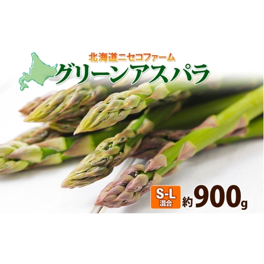 【 2026年 発送 】 北海道産 グリーン アスパラガス 約 900g  S - L サイズ混合 アスパラガス アスパラ 旬 朝採り 新鮮 お取り寄せ 産地直送 産直 野菜 農作物 詰め合わせ 国産 しりべしや ニセコファーム 北海道