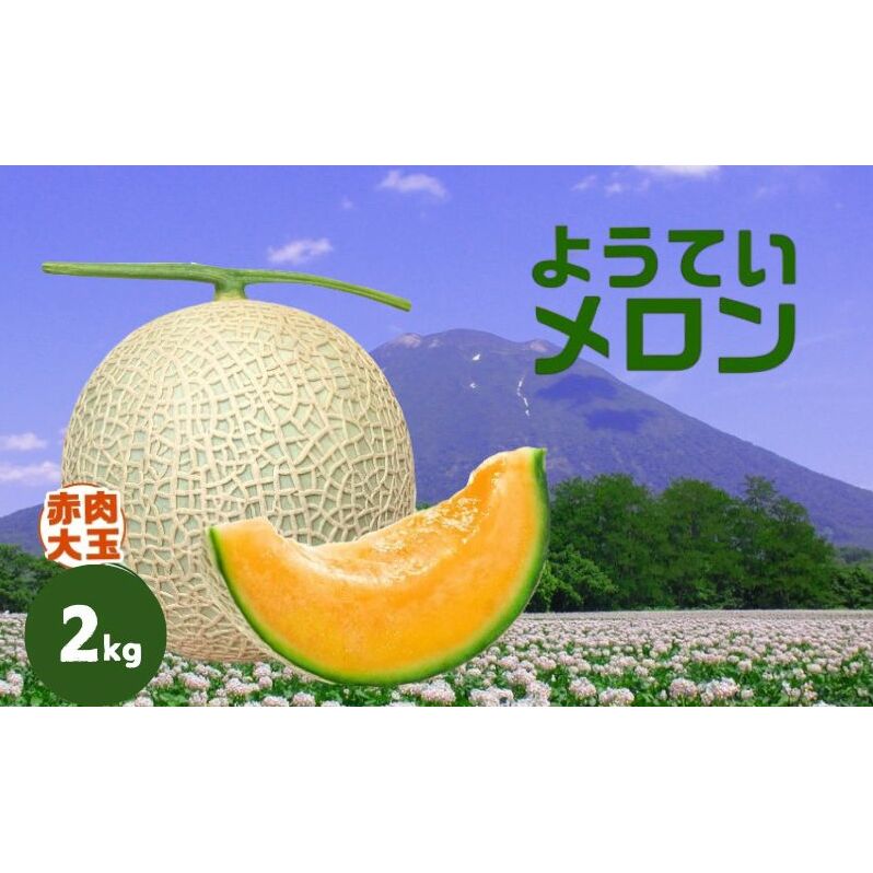 【 2025年発送 】先行予約 北海道 赤肉メロン 大玉 約2kg 1玉 メロン 赤肉 果物 フルーツ 甘い 完熟 スイーツ デザート 産直 国産 贈答品 お祝いギフト羊蹄山 JAようてい