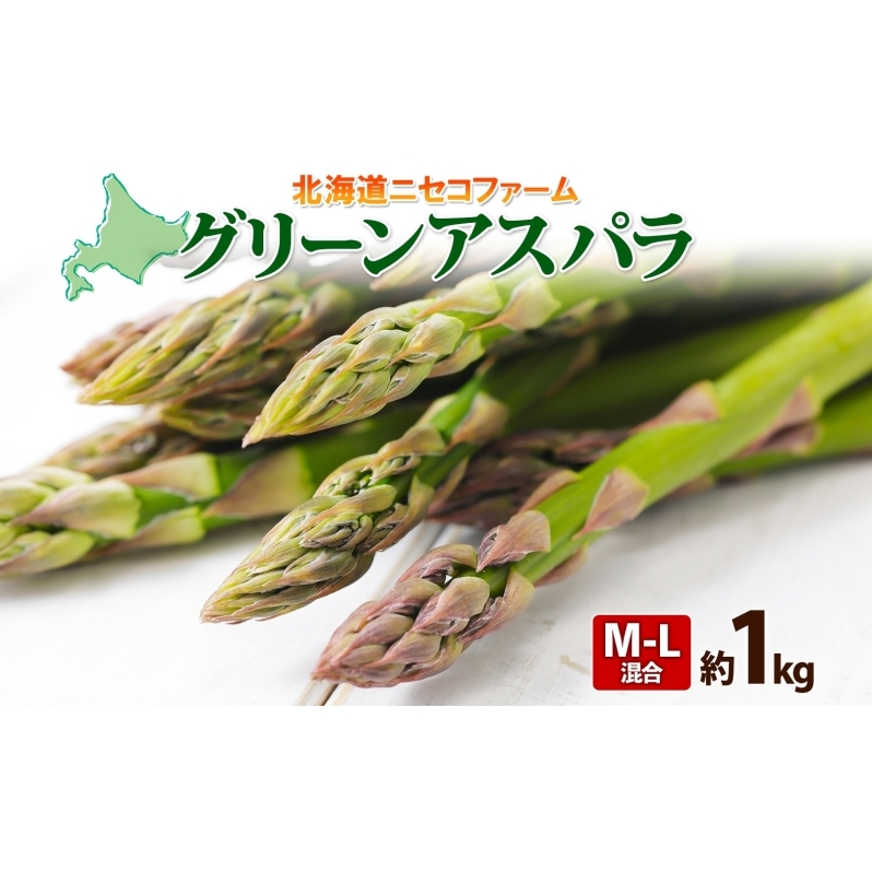 【 2025年 先行予約 】 北海道産 グリーン アスパラガス 約1kg M - L サイズ混合 アスパラガス アスパラ 旬 朝採り 新鮮 お取り寄せ 産地直送 産直 野菜 農作物 詰め合わせ 国産 しりべしや 