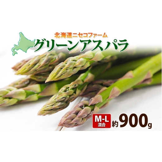 【 2026年 発送 】 北海道産 グリーン アスパラガス 約 900g  M - L サイズ混合 アスパラガス アスパラ 旬 朝採り 新鮮 お取り寄せ 産地直送 産直 野菜 農作物 詰め合わせ 国産 しりべしや 