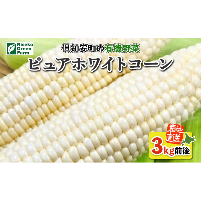 北海道産 とうもろこし 有機 ピュアホワイトコーン 3kg L-LL オーガニック 旬 白い スイート コーン トウモロコシ お取り寄せ 産地直送 野菜 とうきび 送料無料 北海道 倶知安町 