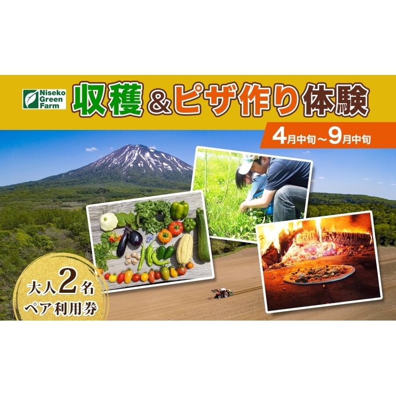 北海道 オーガニック 野菜収穫&ピザ作り 体験 2名様分 ペア チケット 体験型 ツアー 夏休み 野菜 有機野菜 ピザ ハウス 収穫 新鮮 ニセコグリーンファーム 送料無料 体験チケット