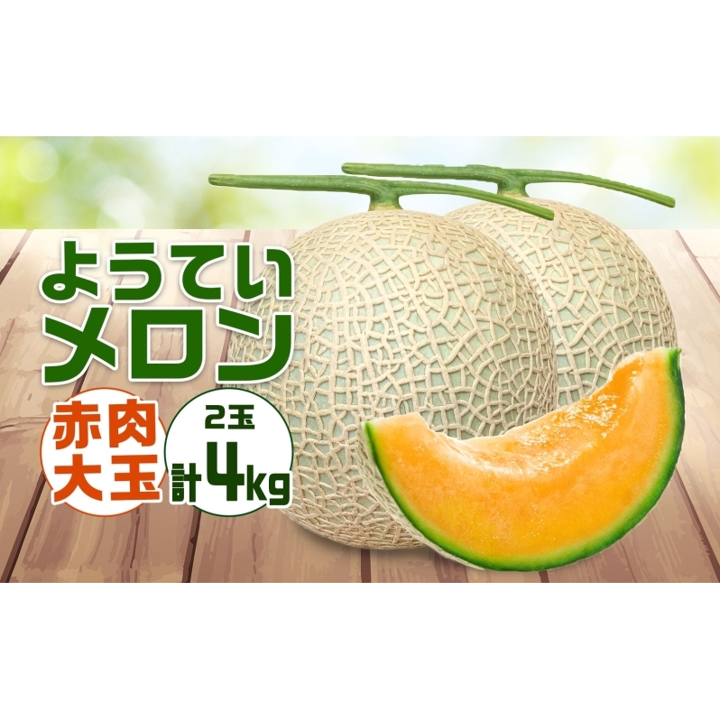 【 2025年発送 】先行予約 北海道 赤肉メロン 大玉 約2kg 2玉 メロン 赤肉 果物 フルーツ 甘い 完熟 スイーツ デザート 産直 国産 贈答品 お祝いギフト羊蹄山 JAようてい