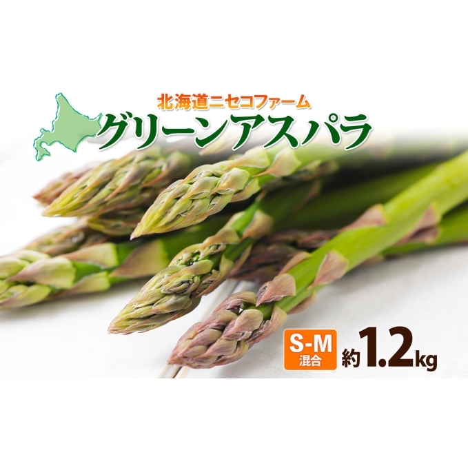 北海道産 グリーン アスパラガス 約1.2kg S - M サイズ混合 アスパラガス アスパラ 旬 朝採り 新鮮 お取り寄せ 産地直送 産直 野菜 農作物 詰め合わせ 国産 送料無料 しりべしや ニセコファーム 北海道 倶知安町 