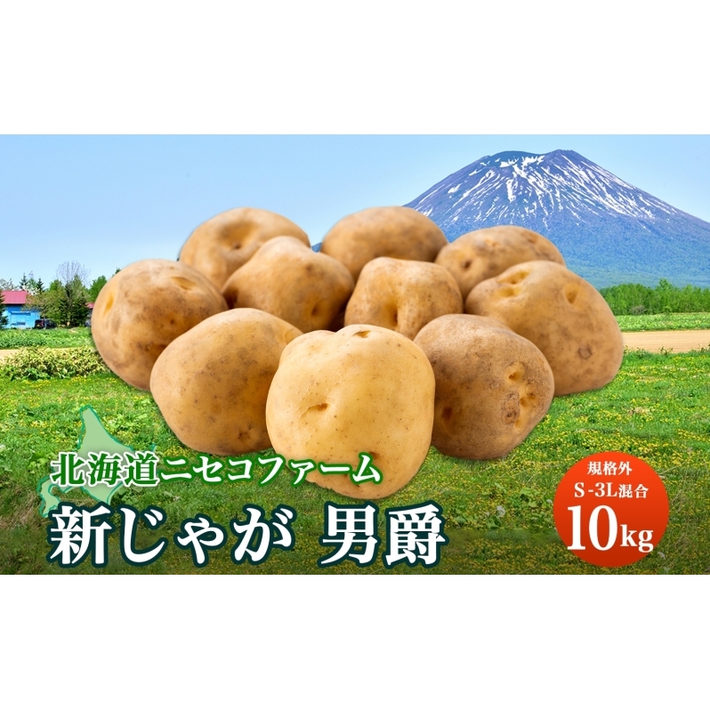 北海道産 じゃがいも 男爵 10kg 規格外 訳あり S-3L サイズ混合 新じゃが 芋 ジャガイモ いも 新鮮 野菜 農作物 お取り寄せ 男しゃく 馬鈴薯 ニセコファーム 送料無料 北海道 倶知安町 
