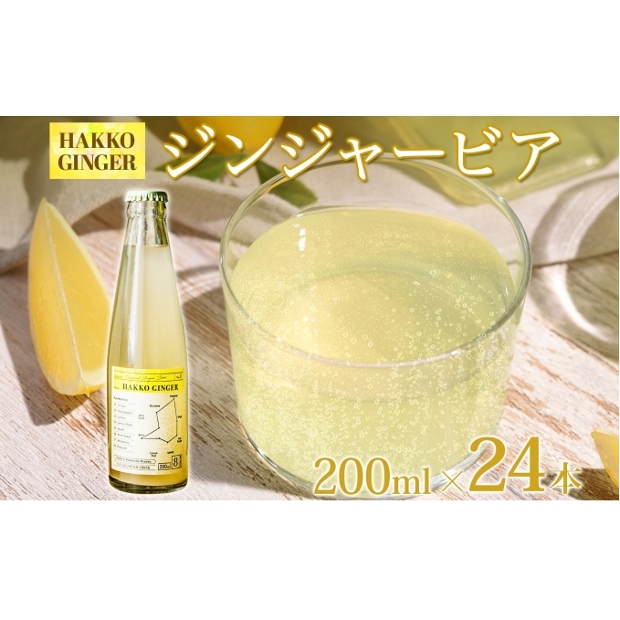 北海道 自家製 ジンジャービア 200ml×24本 HAKKO GINGER 発酵 ジンジャー ビール 生姜 レモン 辛口 ノンアルコール 炭酸 ヘルシー 野菜飲料 野菜ジュース 飲料類 炭酸飲料 
