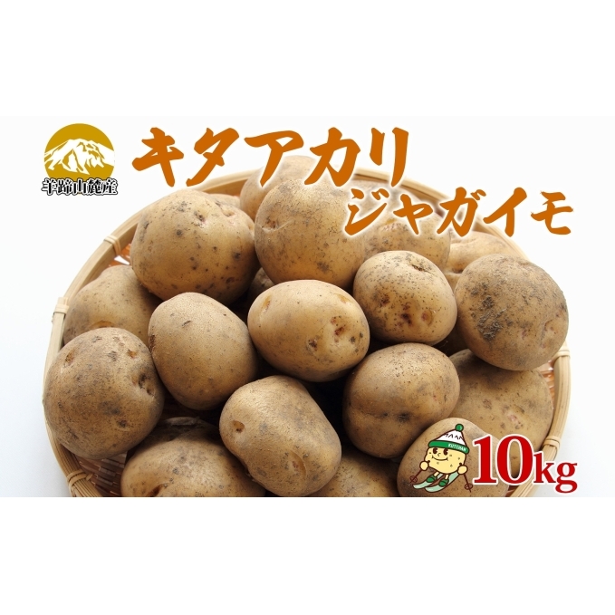 北海道産 じゃがいも キタアカリ 約10kg Lサイズ ジャガイモ 北あかり 馬鈴薯 ポテト クリじゃがいも 常備野菜 根菜 産直 国産 JAようてい 送料無料 北海道北海道のジャガイモ 食品
