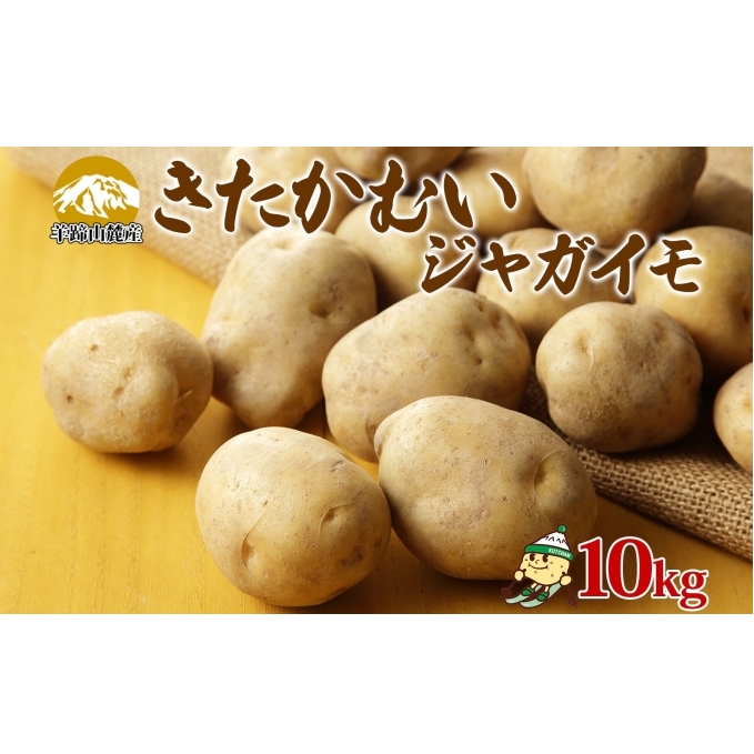 北海道産 じゃがいも きたかむい 約10kg Lサイズ ジャガイモ キタカムイ 馬鈴薯 いも ポテト 常備野菜 根菜 産直 国産 日本産 JAようてい 送料無料 北海道 倶知安町 北海道のジャガイモ 食品 