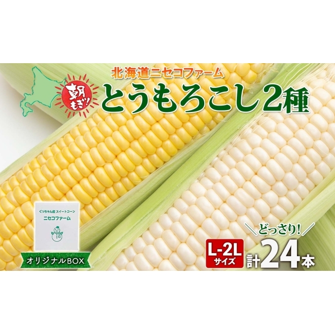 【 2026年 発送 】 北海道産 とうもろこし 2種 計24本 L-2L サイズ混合 味来 ロイシーコーン 食べ比べ セット 旬 朝採り 新鮮 トウモロコシ とうきび お取り寄せ 産地直送 野菜 しりべしや 送料無料
