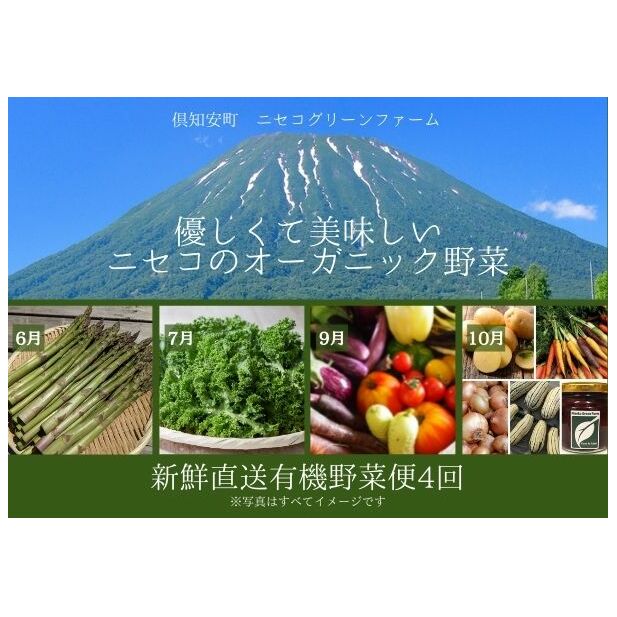 【数量限定】北海道 ニセコ 旬の有機栽培野菜セット 定期配送4回分 オーガニック 野菜詰め合わせ お取り寄せ グルメ アスパラガス とうもろこし 詰合せ 
