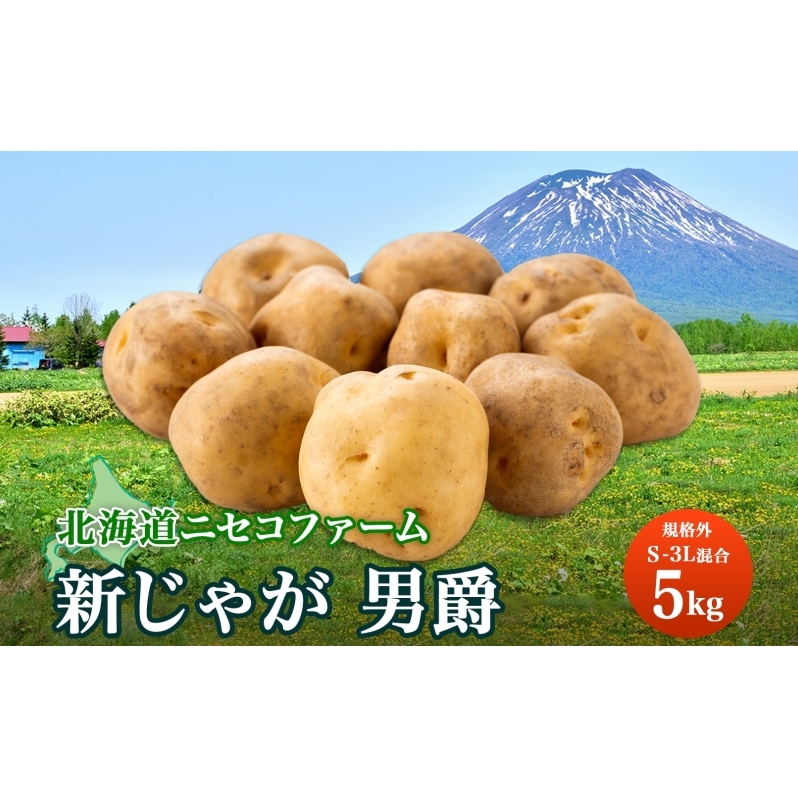 北海道産 じゃがいも 男爵 5kg 規格外 訳あり S-3L サイズ混合 新じゃが 芋 ジャガイモ いも 新鮮 野菜 農作物 お取り寄せ 男しゃく 馬鈴薯 ニセコファーム 送料無料 北海道 倶知安町 