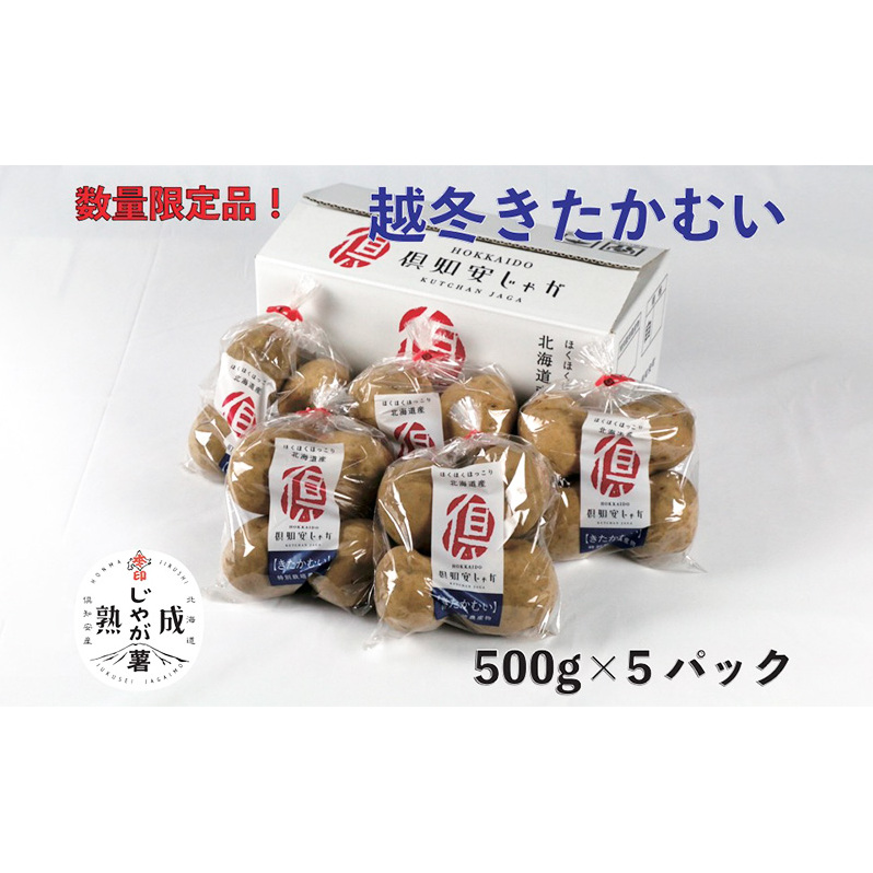 越冬 倶知安じゃが 特栽 きたかむい L 500g × 5PC (計2.5kg) 野菜 北海道野菜 北海道産 北海道産じゃがいも 