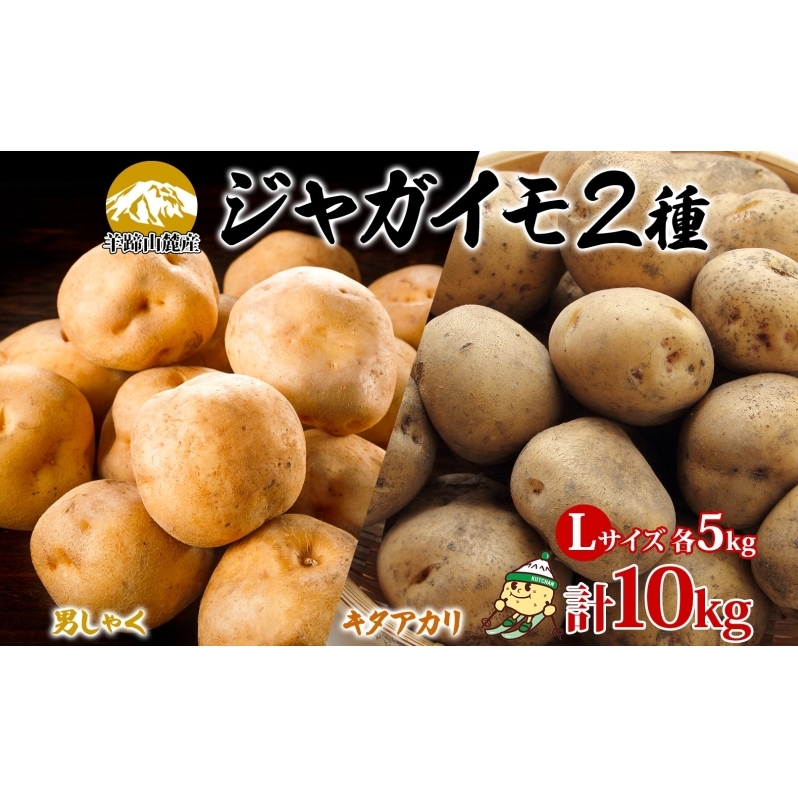 北海道産じゃがいも 男爵 キタアカリ各約5kg Lサイズ 計10kg ジャガイモ 男爵いも 北あかり 馬鈴薯 ポテト 根菜 常備野菜 産直 国産 JAようてい 送料無料 北海道 倶知安町