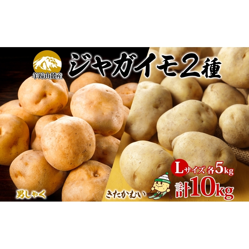 北海道産じゃがいも 男爵 きたかむい各約5kg Lサイズ 計10kg ジャガイモ 男爵いも 馬鈴薯 ポテト 根菜 常備野菜 産直 国産 送料無料 北海道 倶知安町