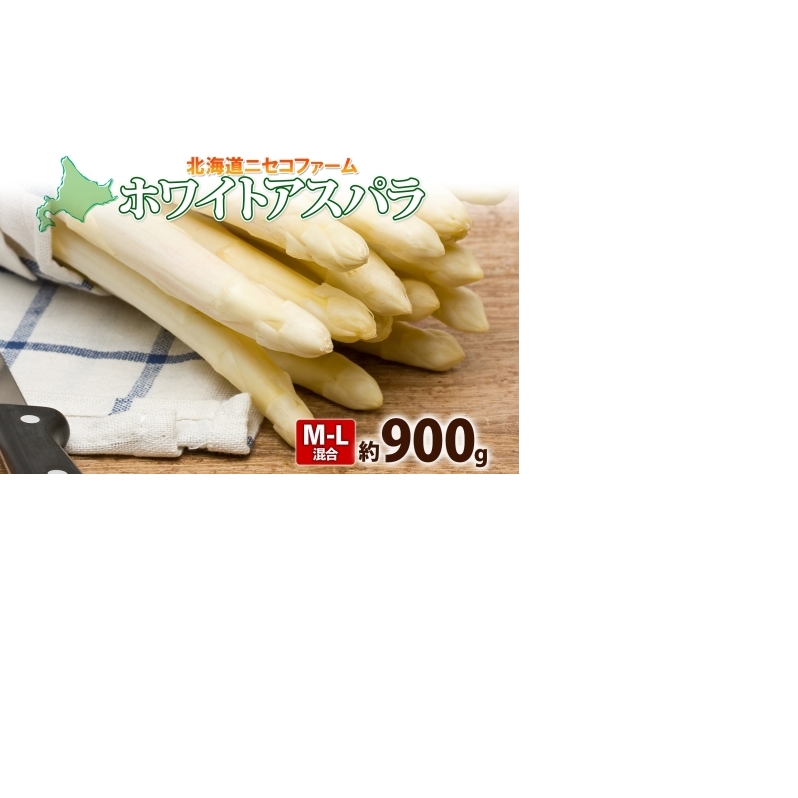 【 2026年 発送 】 北海道産 アスパラガス ホワイト 約 900g  L - 2L サイズ 混合 アスパラ 旬 朝採り 新鮮 お取り寄せ 産地直送 産直 野菜 農作物 詰め合わせ 国産 北海道 倶知安町 