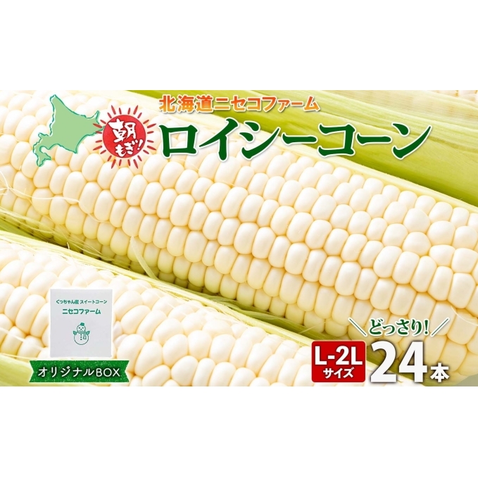 【 2026年 発送 】 北海道産 とうもろこし 計24本 L-2L サイズ混合 ロイシーコーン 大きめ 旬 朝採り 新鮮 トウモロコシ 甘い 夏野菜 とうきび お取り寄せ 産地直送 野菜 しりべしや 送料無料 倶知安町 