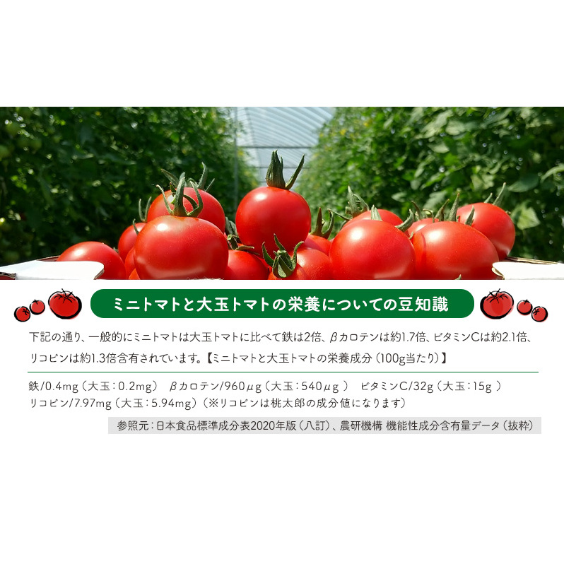 ミニトマトジュース(北海道 仁木町産 ミニトマト 100%) 1L×6本 ～無塩・無糖・保存料無添加 | 北海道仁木町 | JRE MALLふるさと納税