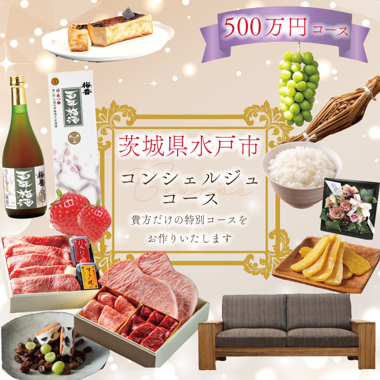 【提案型】コンシェルジュコース（500万円）(GT-11)