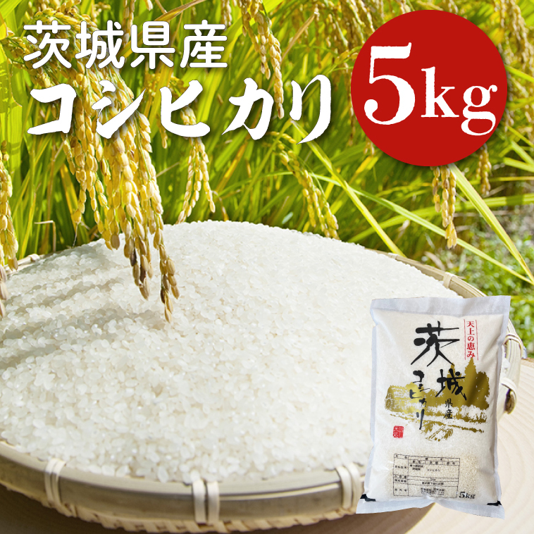 【令和6年産】茨城県産コシヒカリ 5kg 【お米 ごはん こしひかり 老舗 米屋 おにぎり ごはん 茨城県 水戸市 5キロ】(HQ-91)