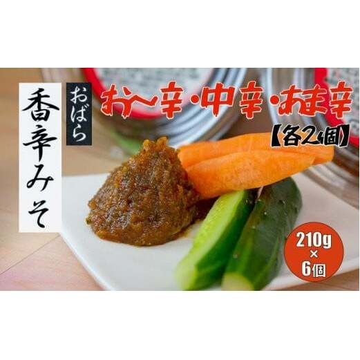 香辛みそセット（6パック入り）【味噌 ミソ みそ 信州味噌 調味料 パック 3種 ディップ 辛味噌 唐辛子 大葉 有機栽培 無農薬栽培 水戸市 茨城県】（AY-3）