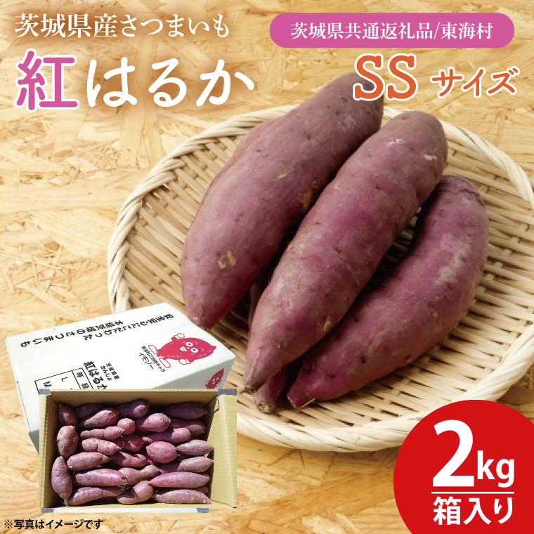 【数量限定】紅はるかSSサイズ2kg箱【茨城県共通返礼品/東海村】【新さつまいも 新芋 さつまいも 芋 焼き芋 焼芋 やきいも 水戸市 茨城県 】(KE-12)