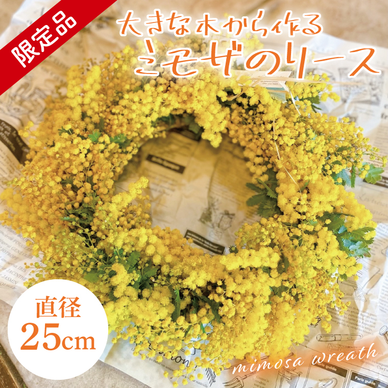 【3月以降発送・数量限定】大きな木から作るミモザのリース（限定品）【インテリア おしゃれ 壁飾り プレゼント お花 ギフト ナチュラル アレンジ フラワーアレンジ 水戸市 水戸 茨城県 10000円以内 1万円以内】（KW-5）