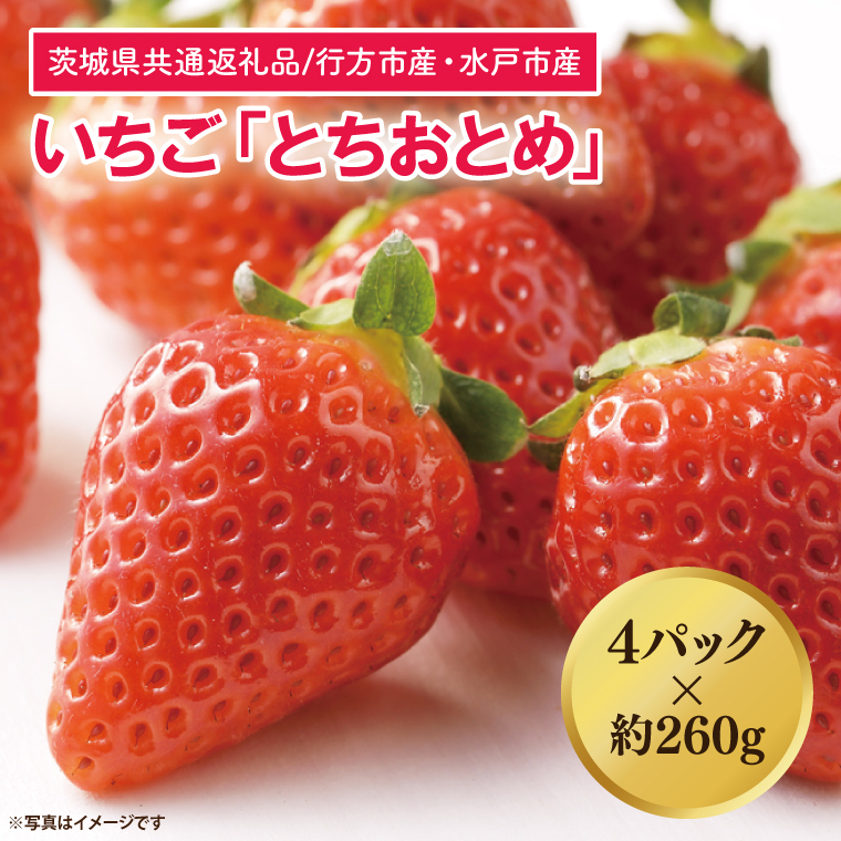 茨城県共通返礼品/行方市産・水戸市産】【2026年1月より順次発送